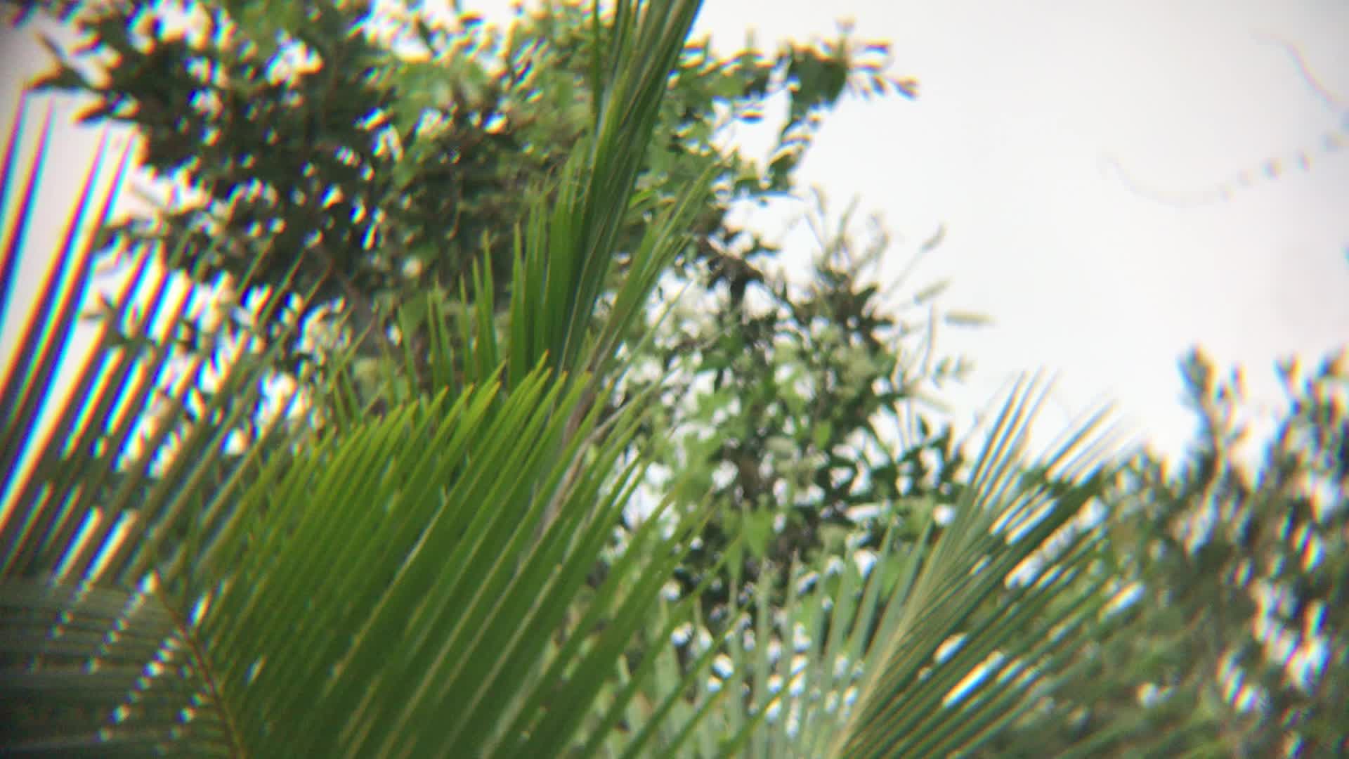 review image 4