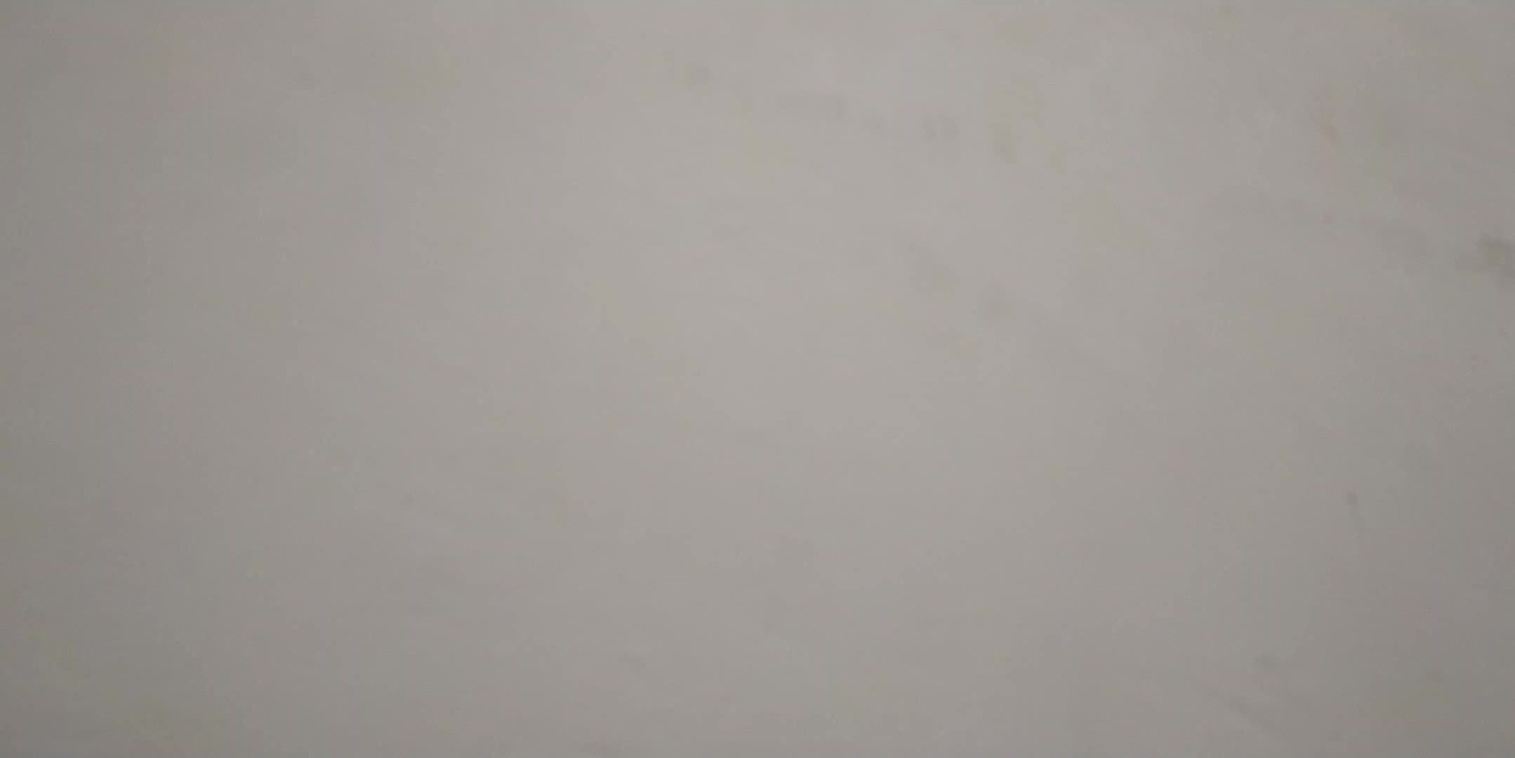 review image 13