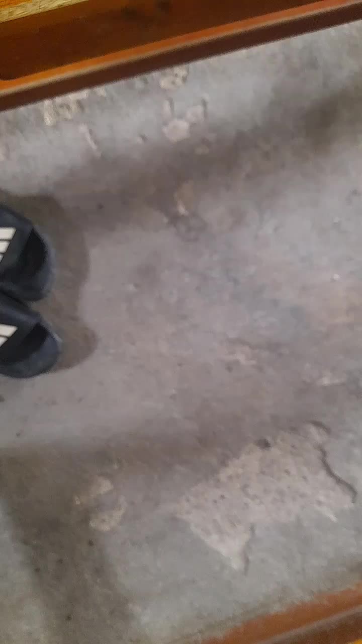 review image 2
