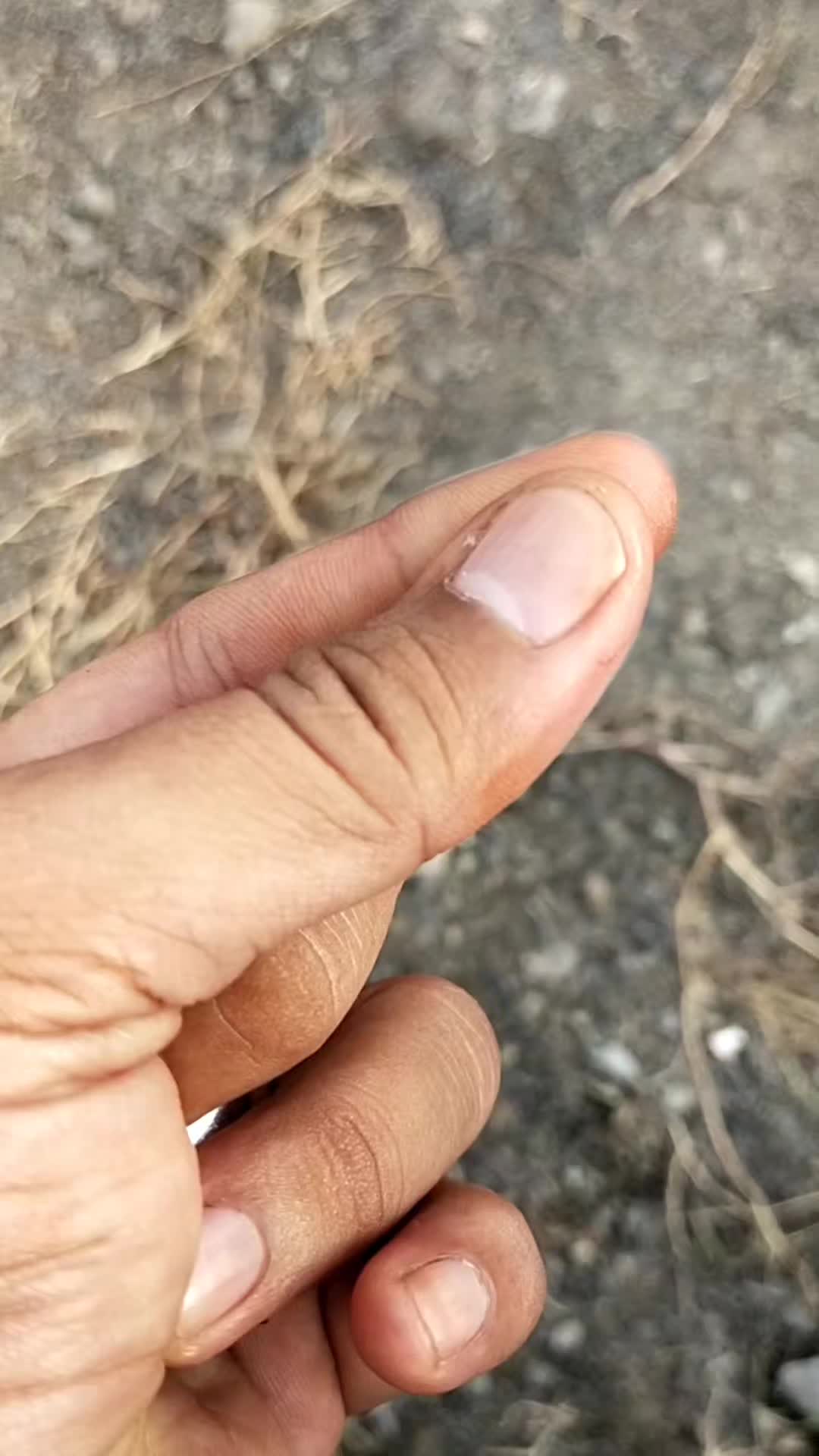 review image 6