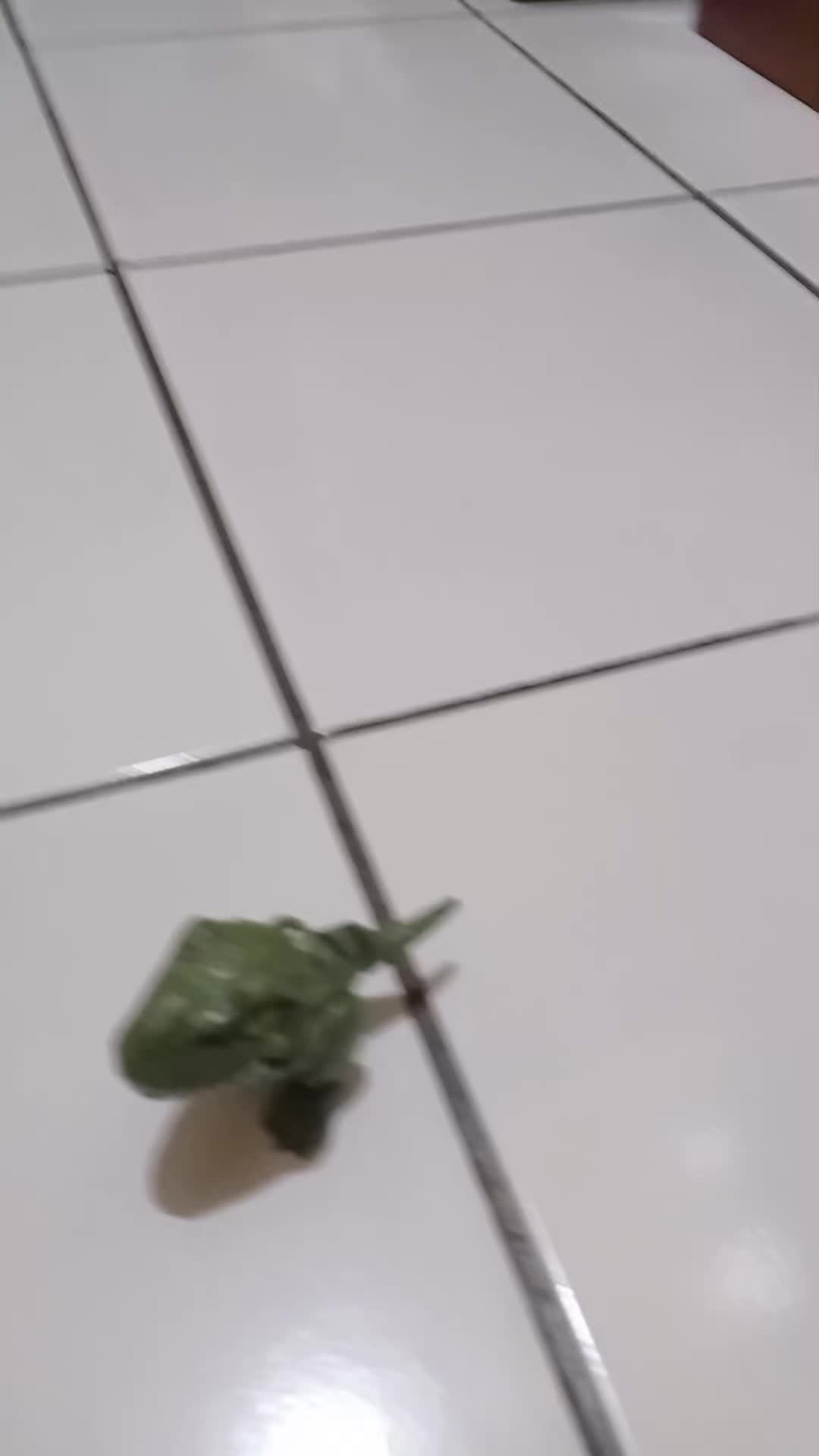 review image 2