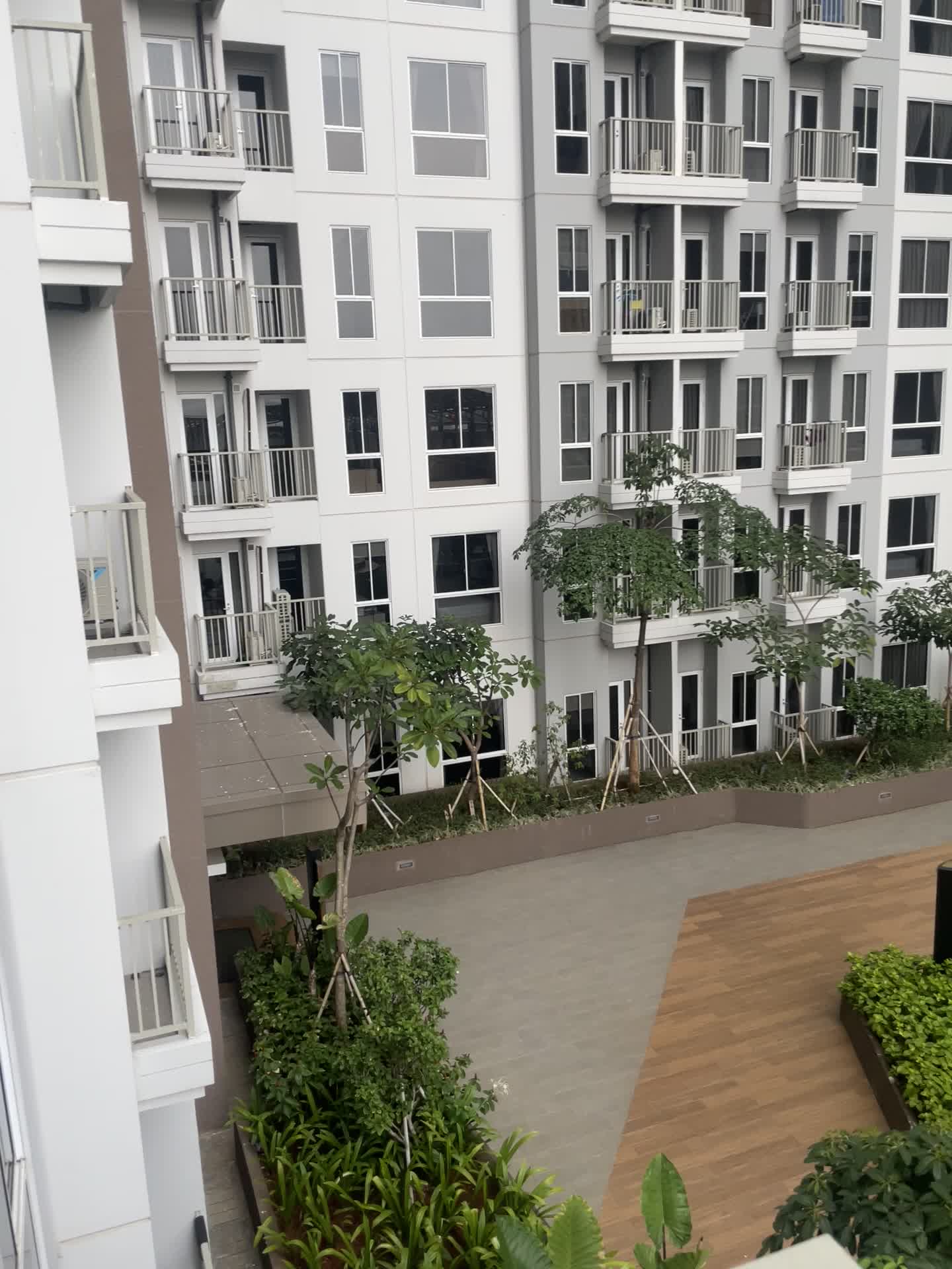 review image 5