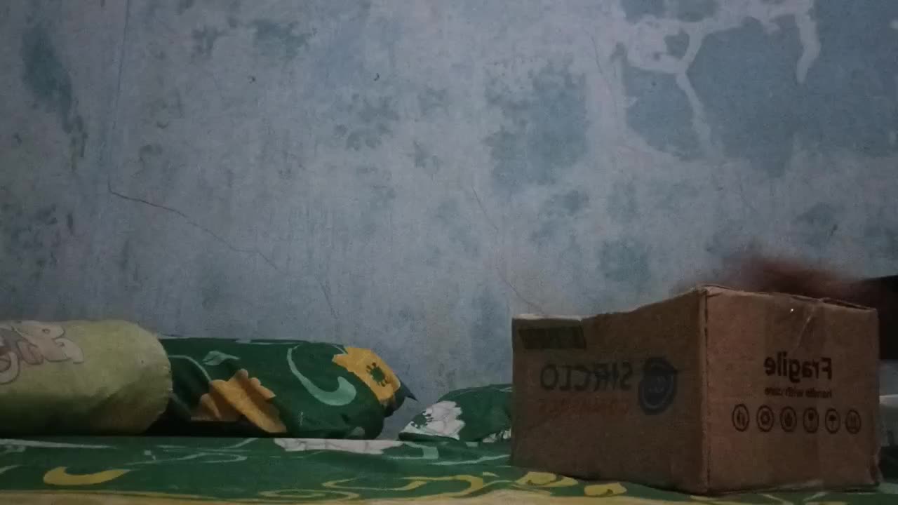 review image 7