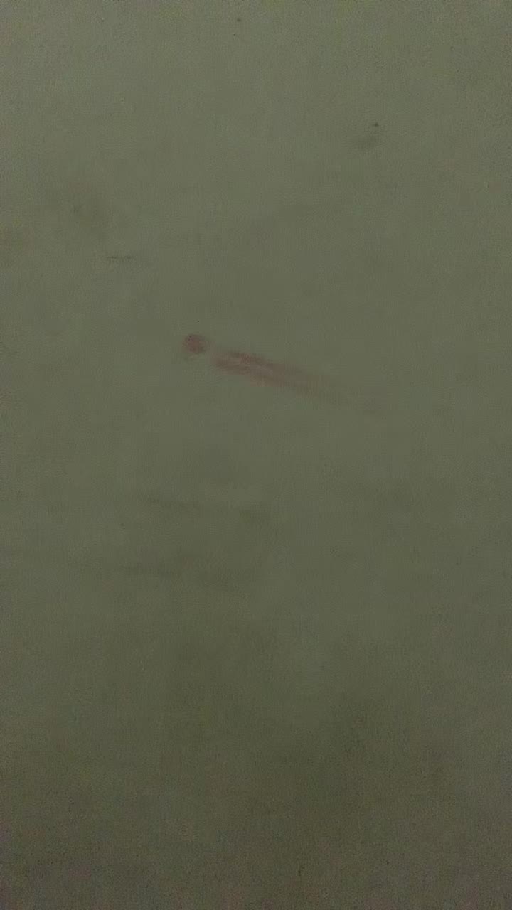 review image 12