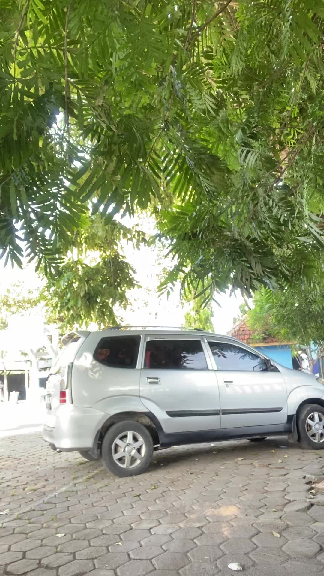 review image 9