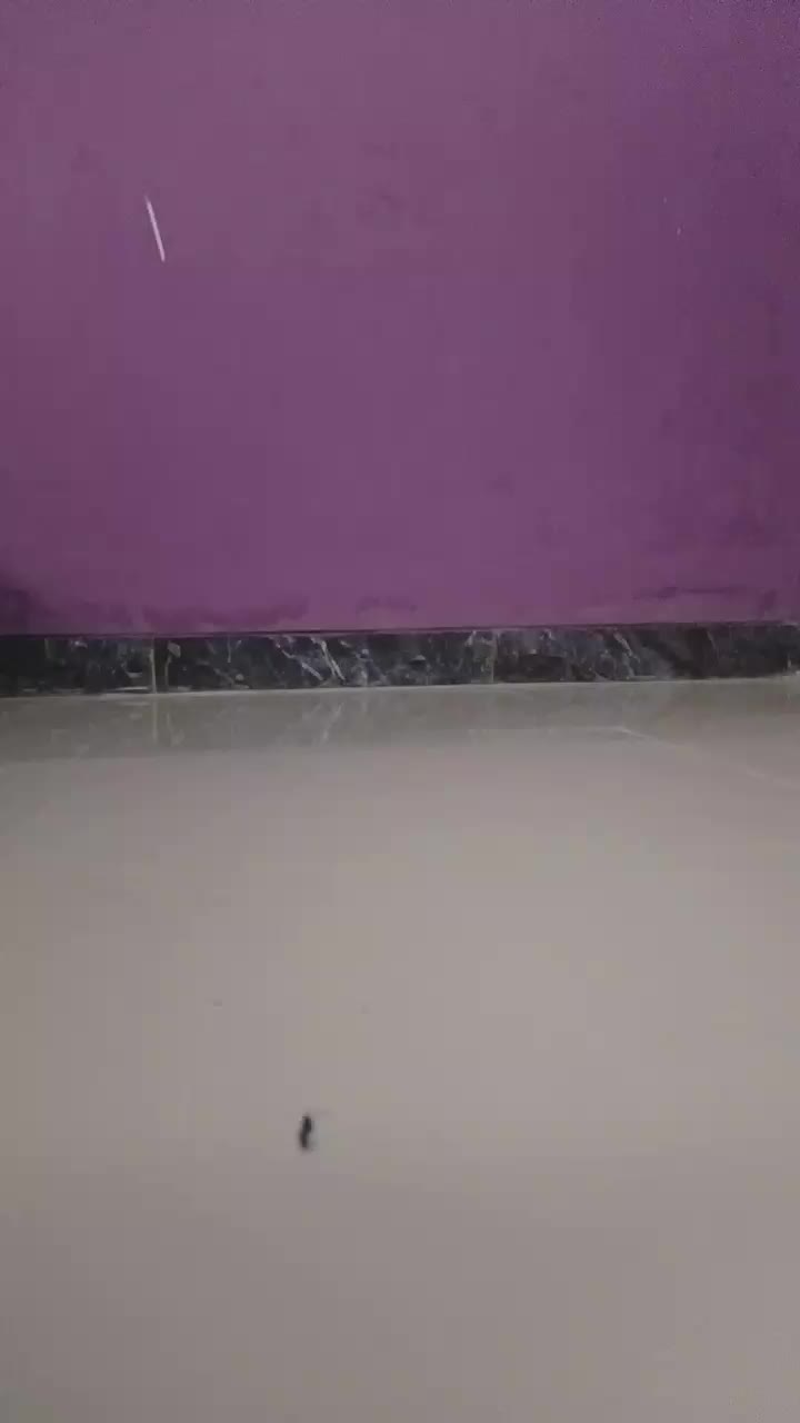 review image 8