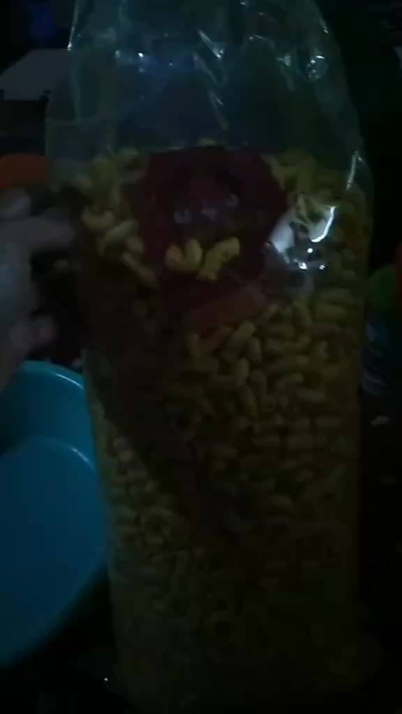 review image 4