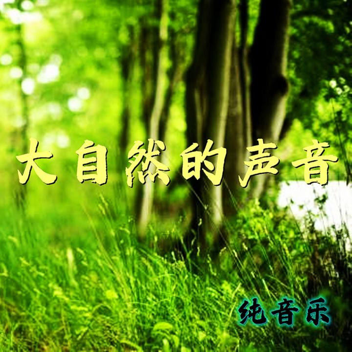 TikTok - Make Your Day->