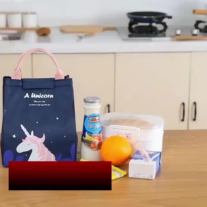 TAS BEKAL LUNCH BAG Anak Sekolah Dewasa Insulated Cooler Bag / TEMPAT MAKAN COOLER LUNCHBAG BOX