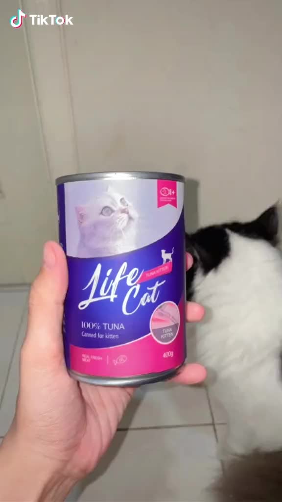 makanan-kucing basah LIFE CAT no whiskas super cat kitten KALENG 400GR Wet Food Viral TikTok Hemat