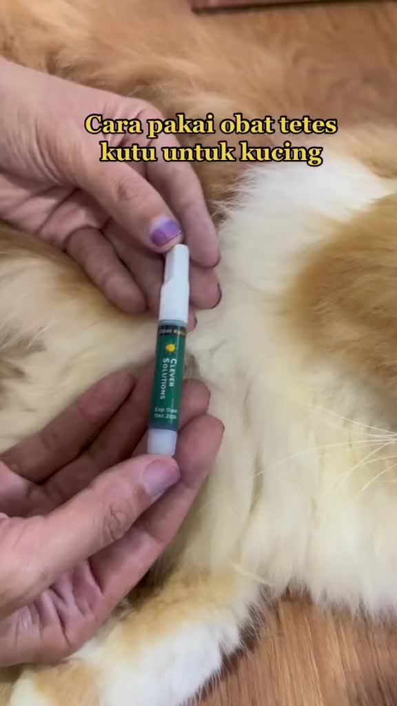 Obat Tetes Kutu Kucing by Clever Solutions Pembasmi Kutu Kucing 2ML