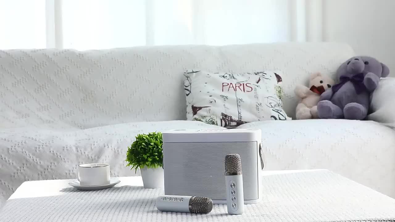 YS-219 Speaker Bluetooth Karaoke 2 Mic Wireless Voice Change