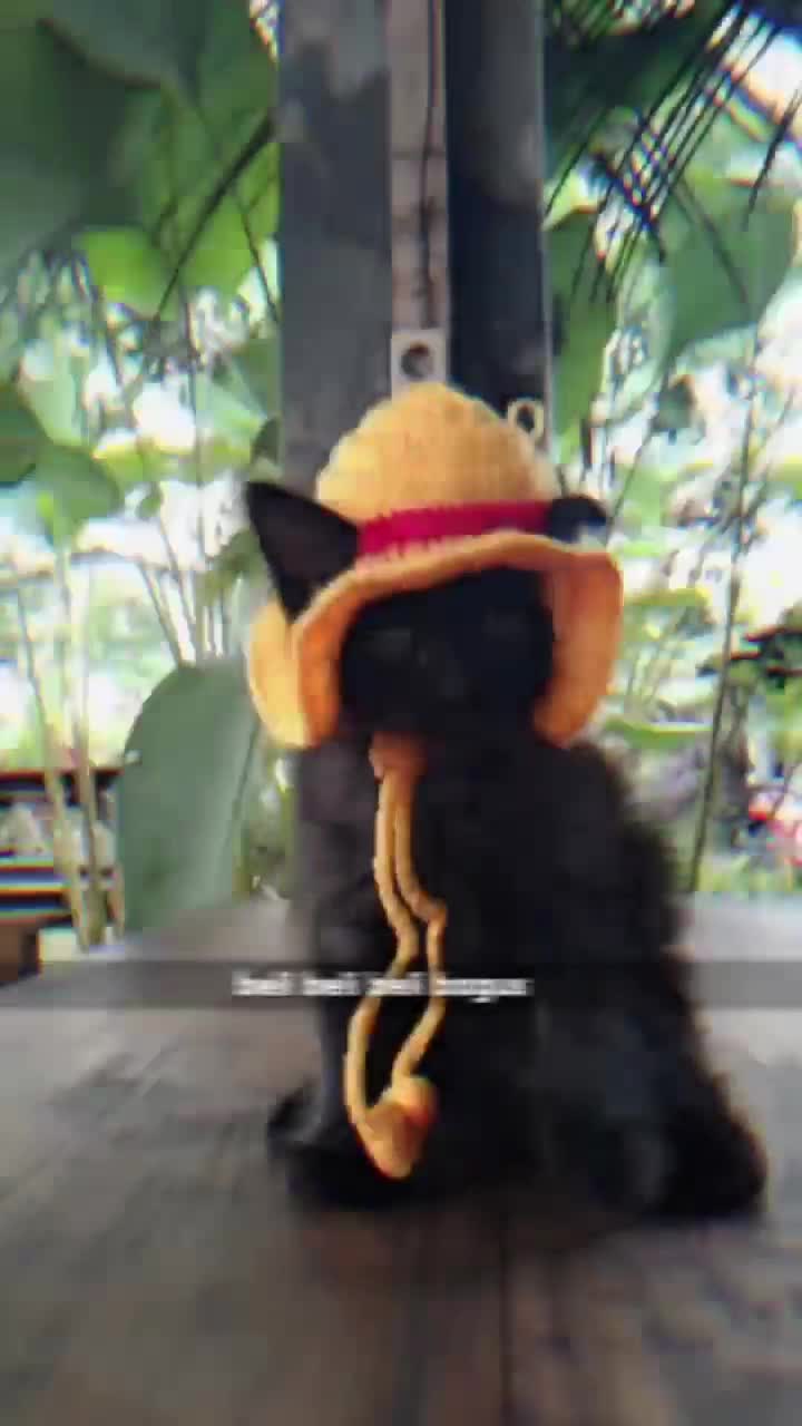 TOPI KUCING RAJUT, CAT, TERMURAH, TULUNGAGUNG, JAWA TIMUR, CROCHET, TOPI CUSTOM, HAT