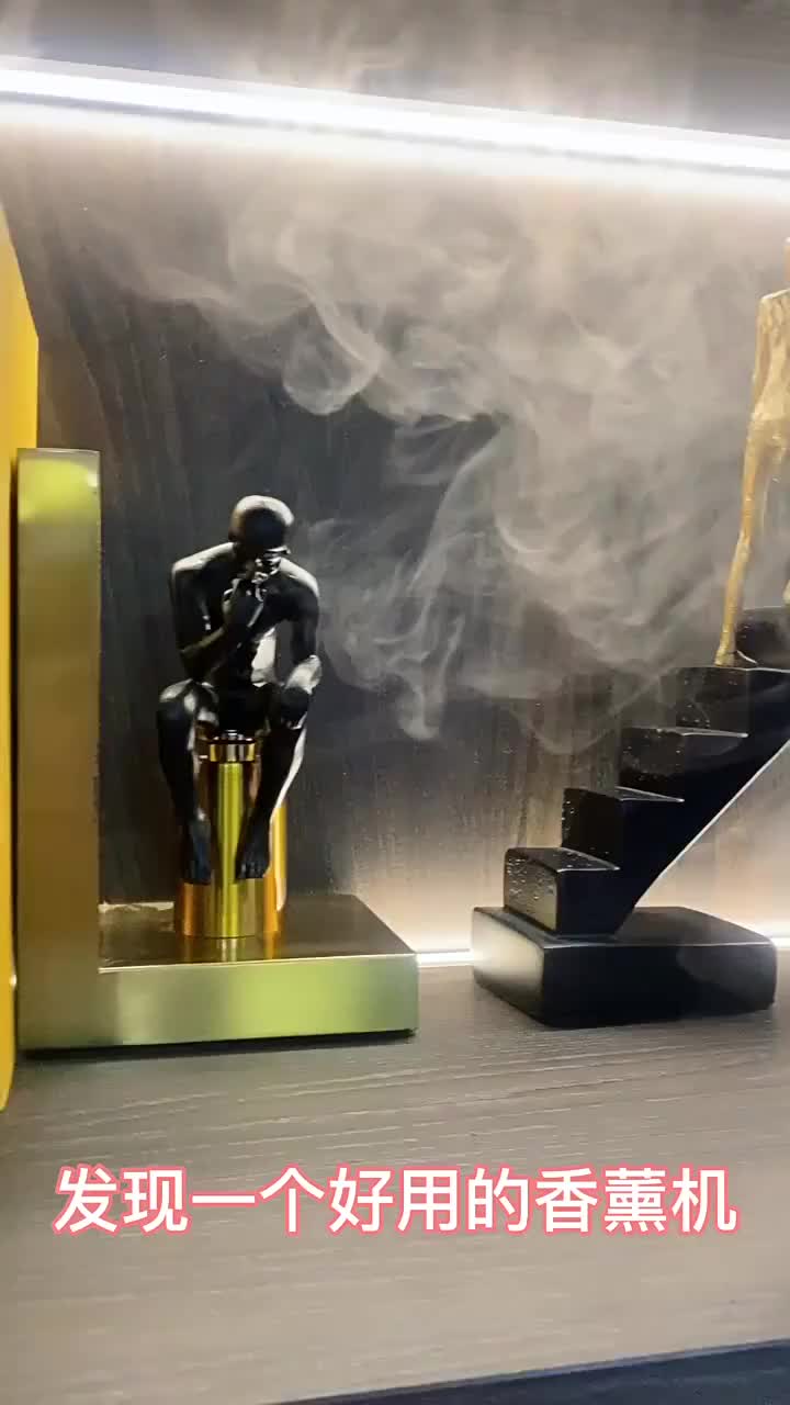 Air Humidifier Taff Aromatherapy Diffuser with Essential Oil