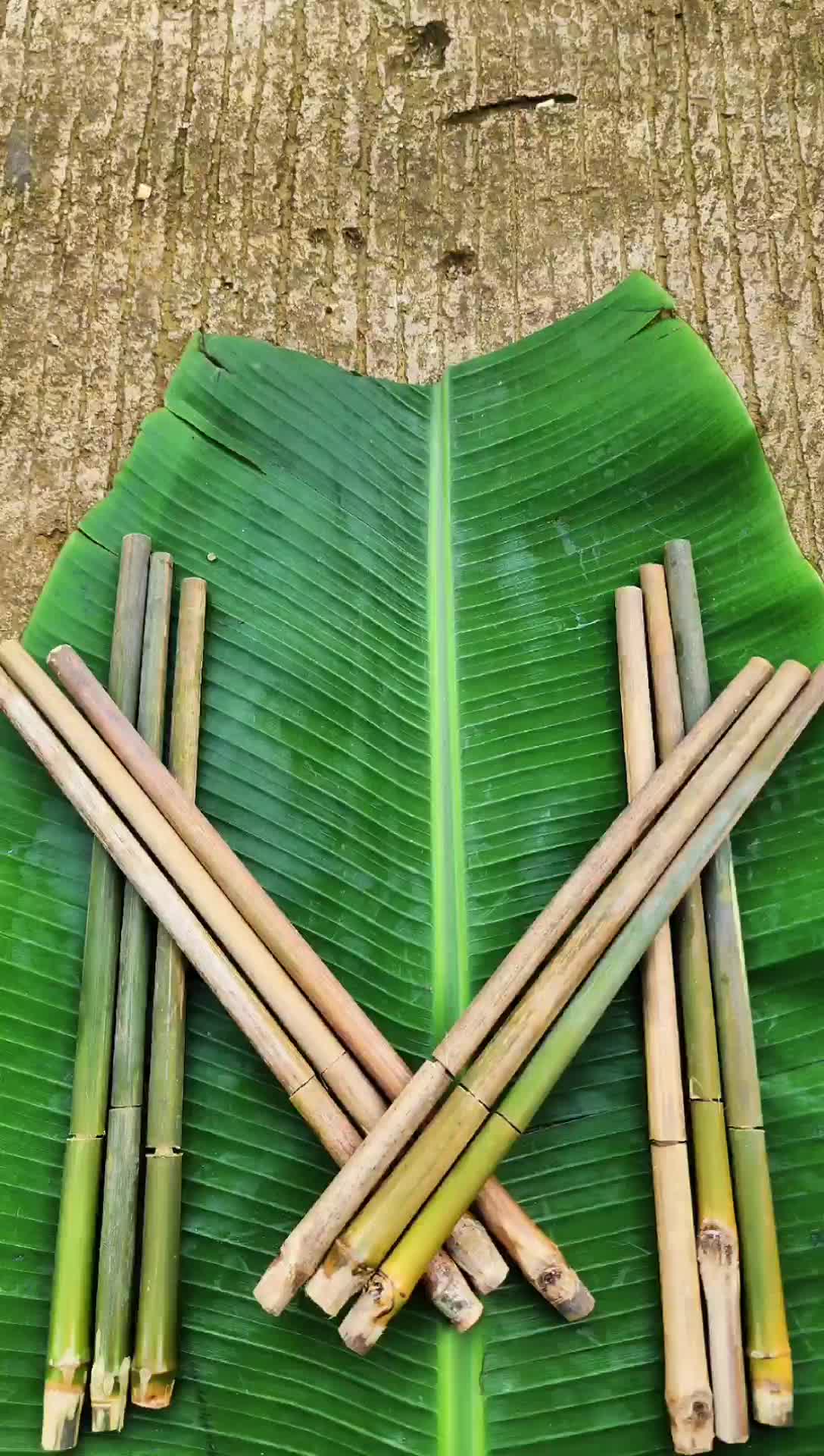 Mainan Tradisional Pletokan Tembakan Bambu