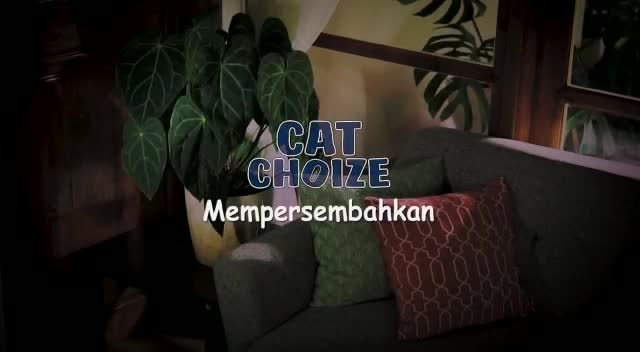 CAT CHOIZE ADULT 800 GRAM tuna salmon makanan kucing no whiskas bolt maxi cat food