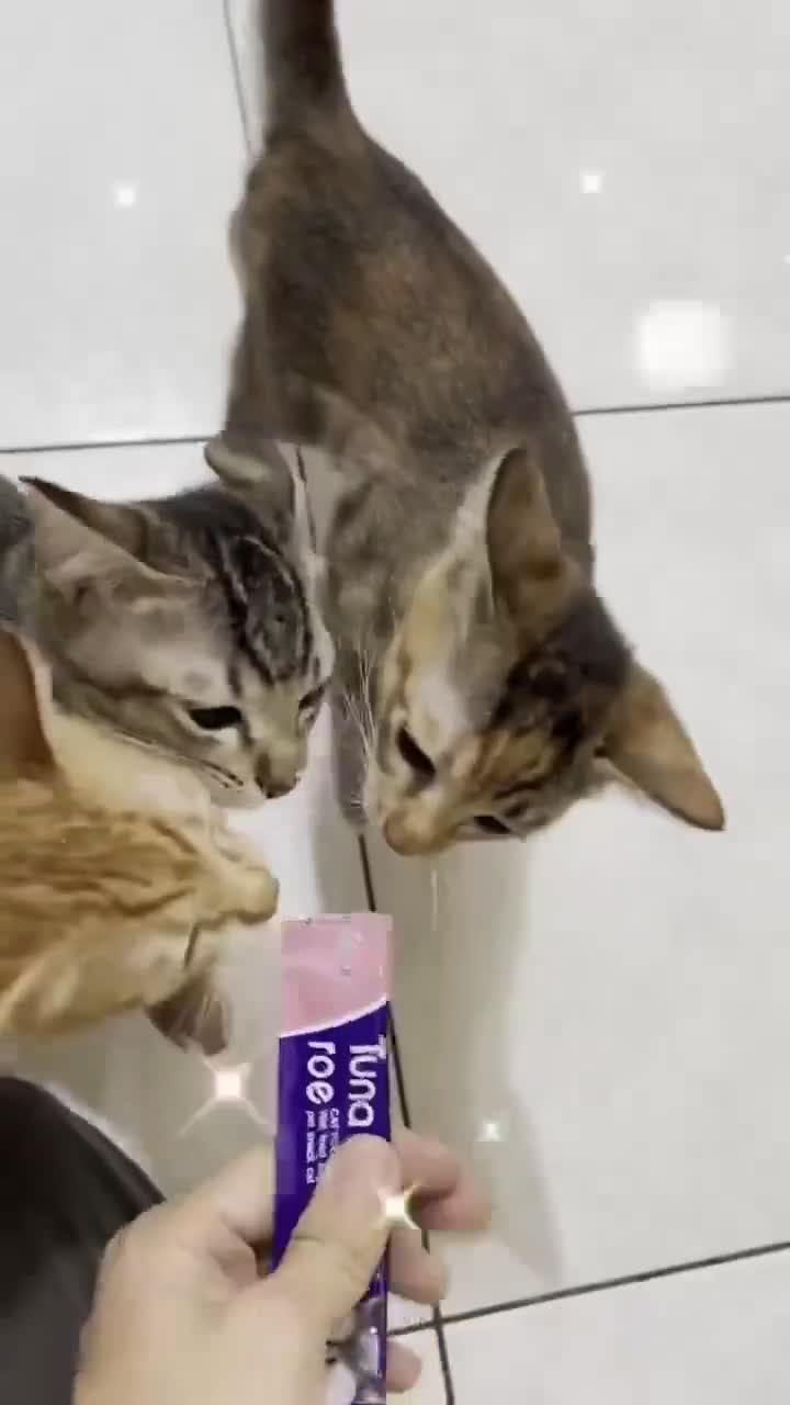 65PCS/30PCS/50PCS Snack Kucing Kitten Adult Besar Pengemukan Pelengkapa 16gr Cat Strips Cemilan Hewan Peliharaan Creamy Food