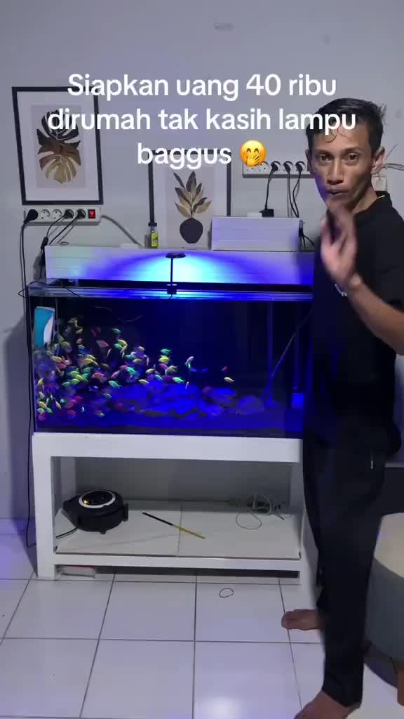 LAMPU JEPIT 3 MODE WARNA KANDILA & SAKKAI PRO PREMIUM