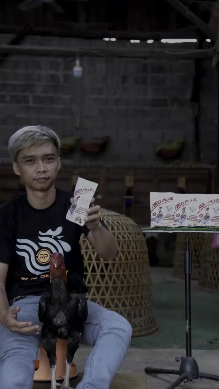 RED PLUS JAMU AYAM OBAT LUKA DALAM AYAM RED PLUS PUCAT SAKIT KUNING 1 SACHET 16 BUTIR
