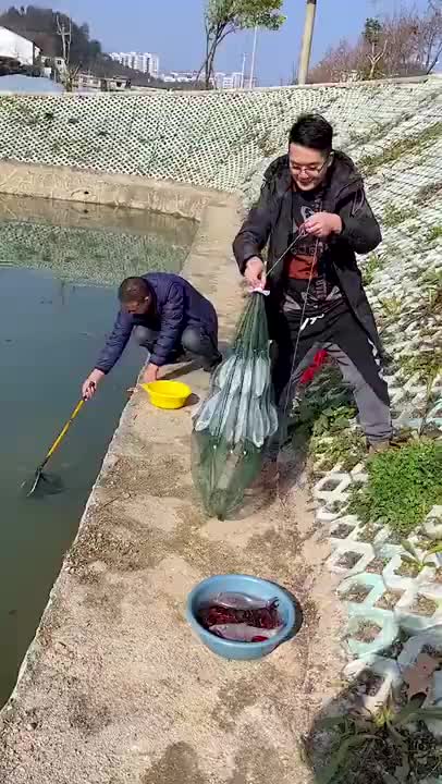 Jaring Penangkap Ikan Udang Cumi Bubu 8 Lubang 8 Hole Fish Trap Jala