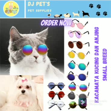 kacamata kucing dan anjing