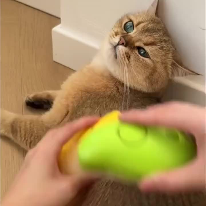 3 In 1 Sisir Uap Kucing Anjing Sikat Pijat Semprot Silikon Grooming Hewan Peliharaan Bentuk Mangga