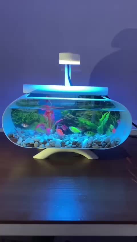 1 Set aquarium mini/ aquarium kaca Akrilik lengkap dengan mesin filter oxygn sirkulasi dan aksesoris plus Lampu LED (B001)