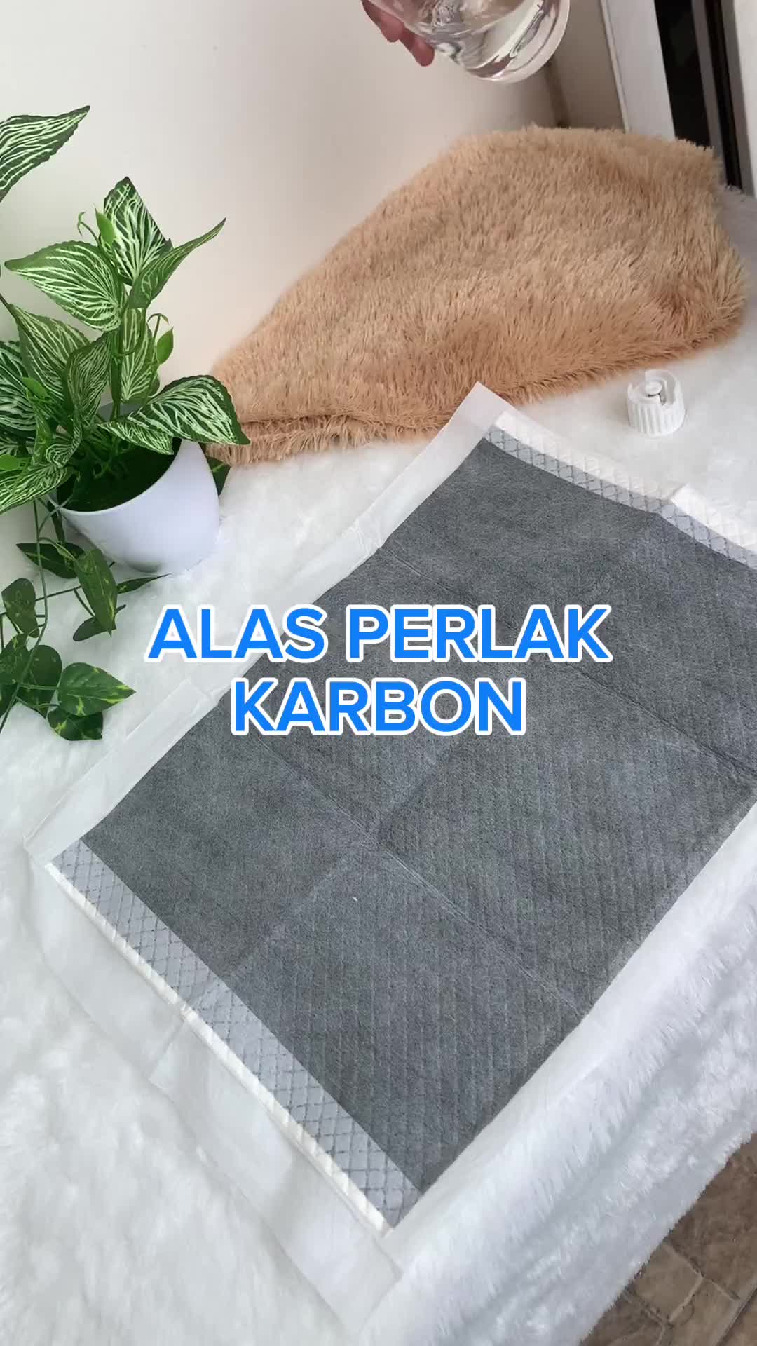 Alas perlak karbon pee and poo anjing kucing | dog cats training pad