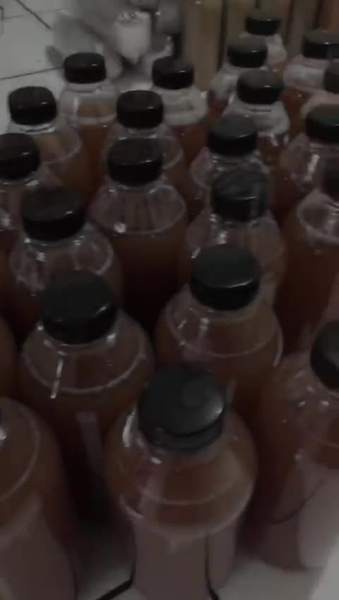 Saripati buah pinang muda extra Kuda laut 500 ml