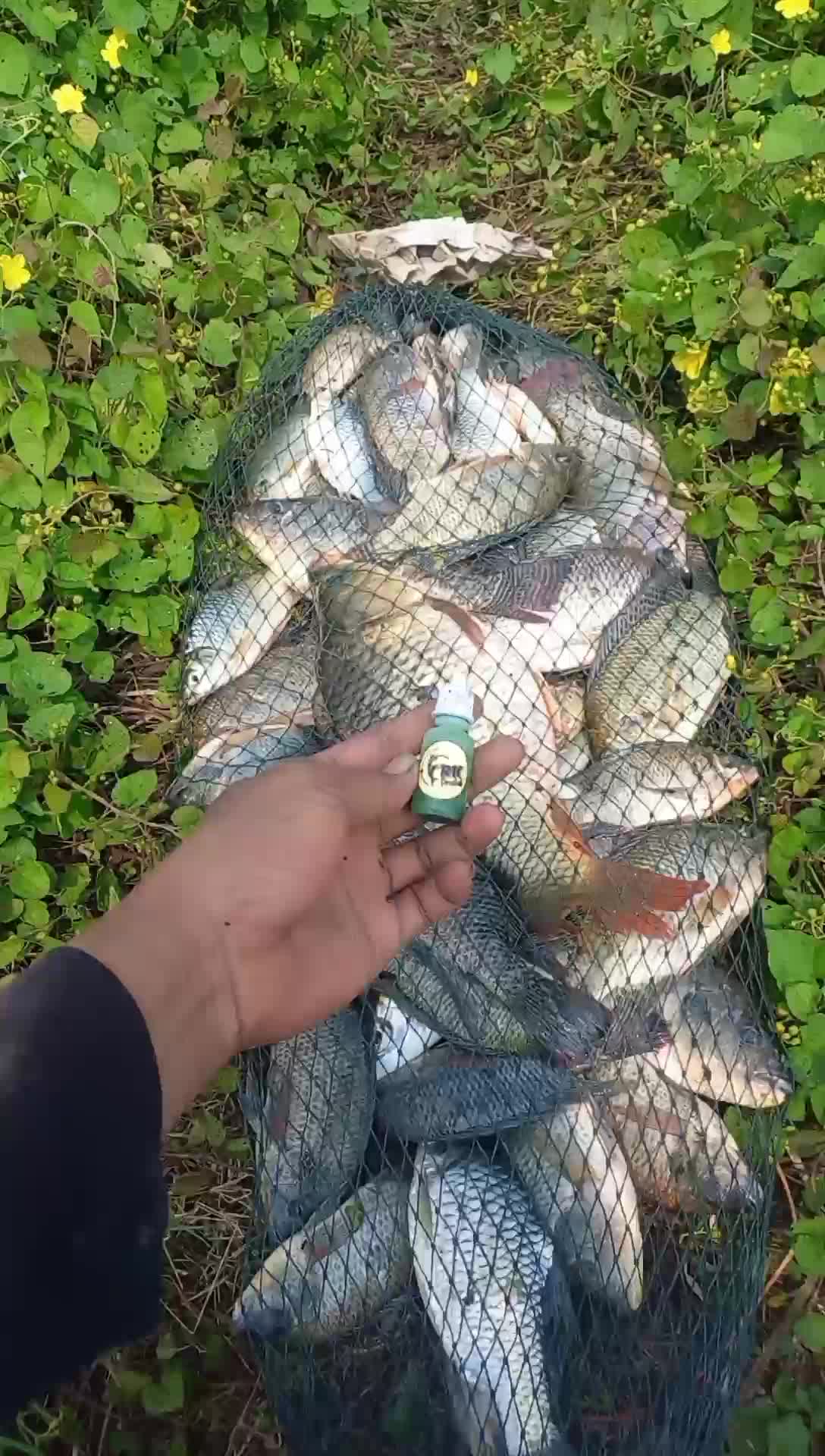 Essen RK lumut cacing pelet target nila ikan mas tawes 10ml Mancing