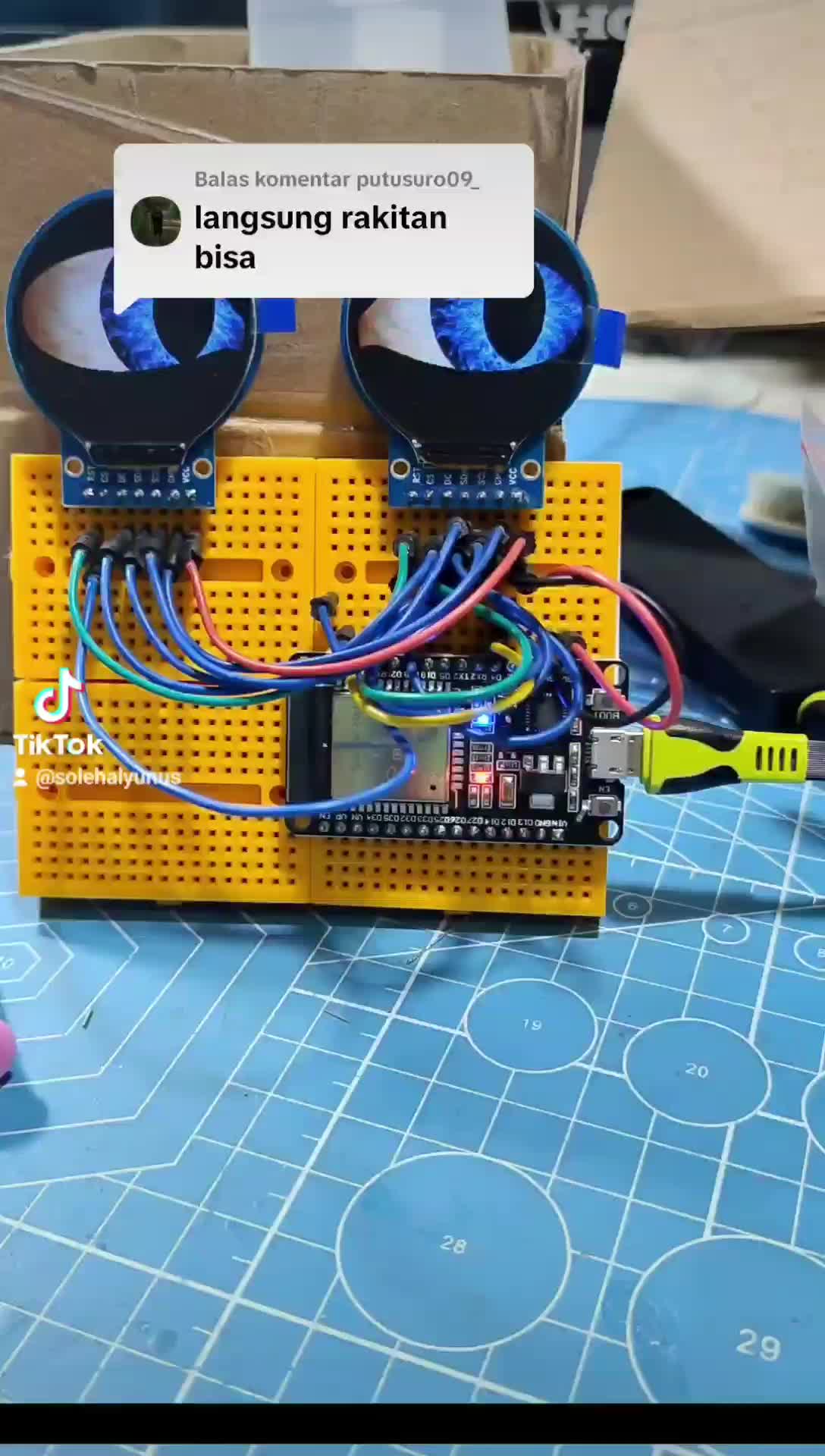 Animasi Mata Bergerak Lcd Tft 1.28 Inch Lampu Biled Projie - ESP32 | Bisa Request Motif dan Animasi