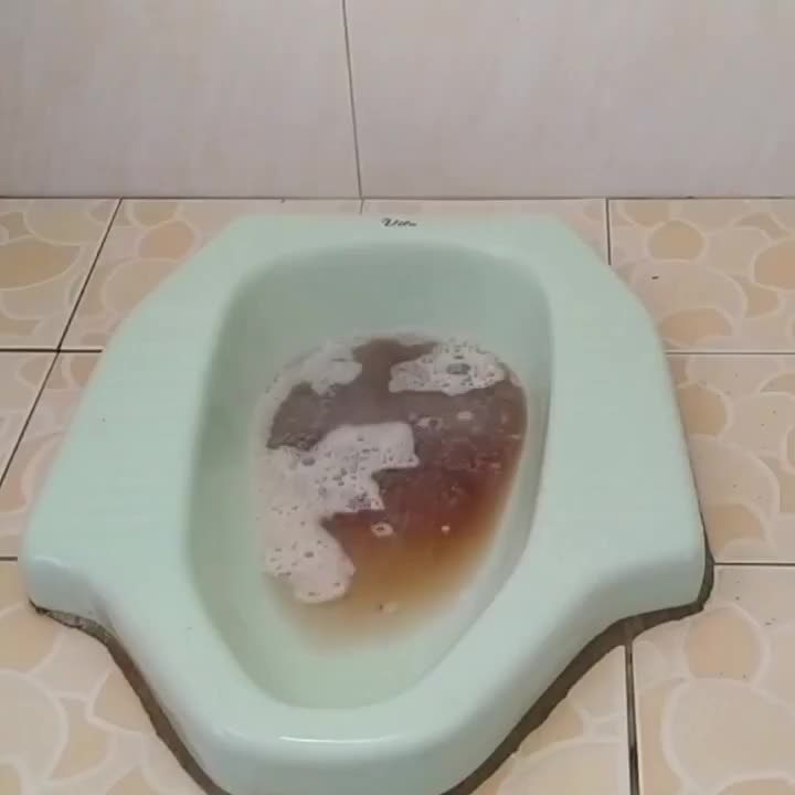 SERBUK TERLARIS WC MAMPET LUCKYRINS MAGIC SEPTICTANK