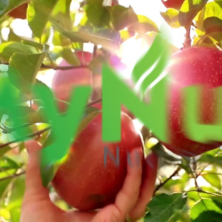 MYNUT CUKA APEL 250 ML APPLE CIDER VINEGAR 100% ASLI PRODUK HERBAL ORIGINAL PREMIUM QUALITY