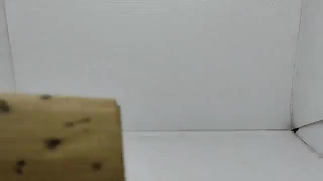 Acrylic Manual Music Box Kotak Musik Manual Akrilik Kado Ulang Tahun Unik Lucu Hadiah