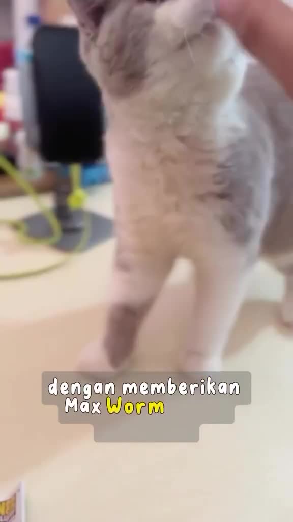 Obat Cacing Untuk Kucing dan Anjing Max Worm
