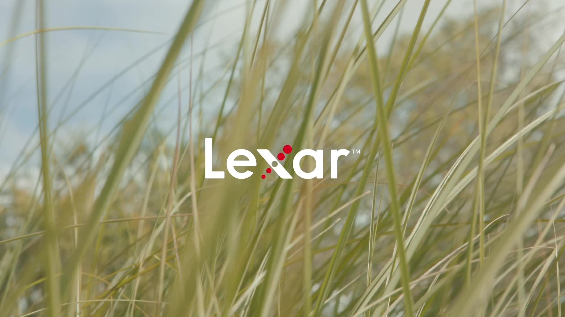 Lexar Microsd High Performance 633x Up to 100Mb/s - 64GB