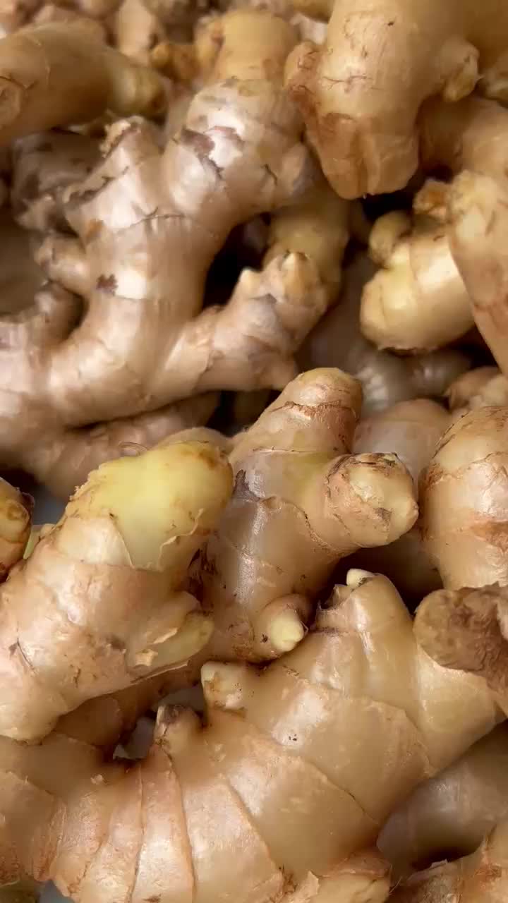 Jahe Gajah Putih Super Fresh Rimpang Sudah Bersih Dicuci