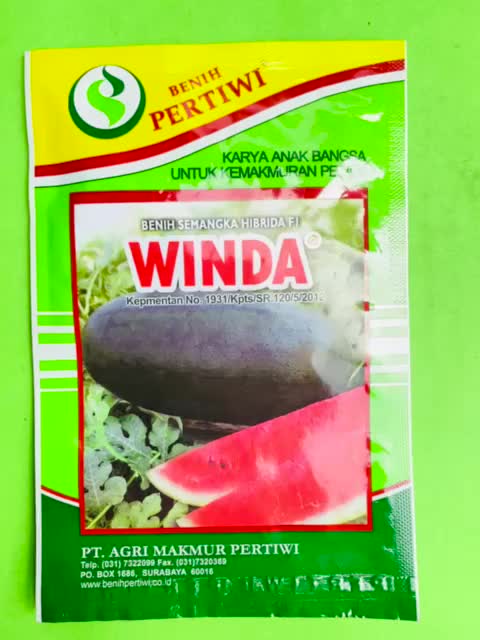 Benih Semangka Lonjong Hibrida F1 WINDA