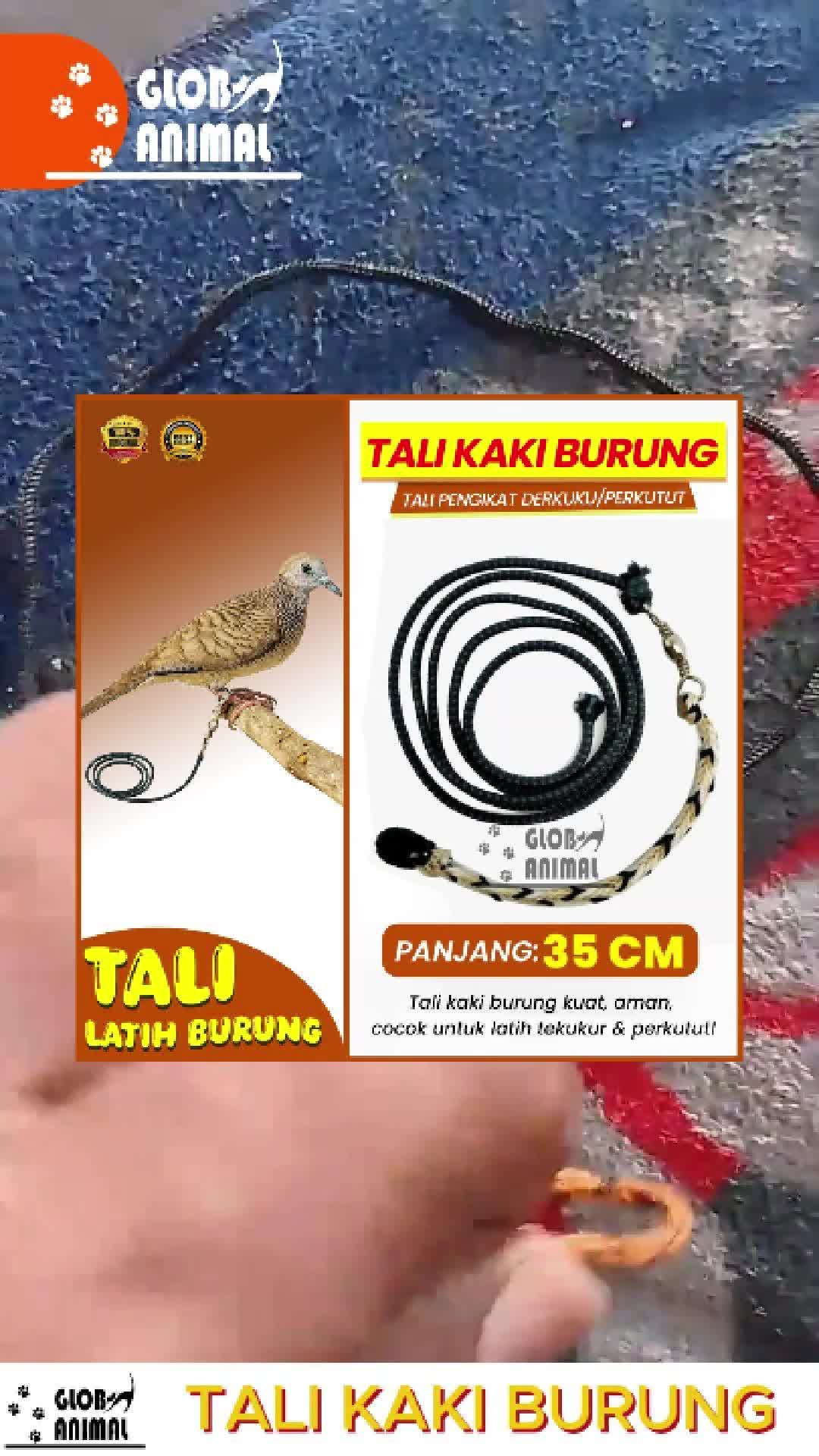 TALI KAKI BURUNG tekukur ikat kaki latih pengikat derkuku perkutut