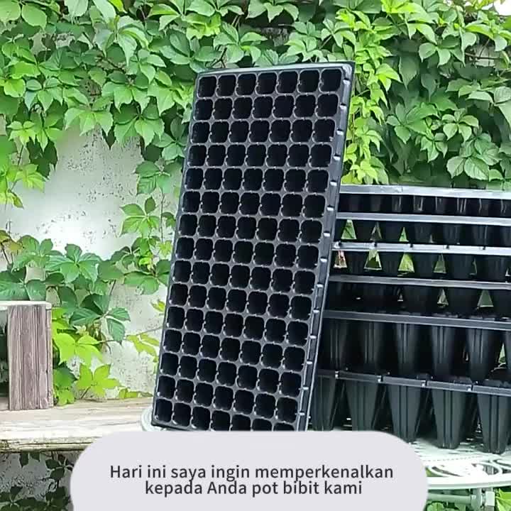 YKO Tray Semai Benih Dulang 21 32 105 128 200 Lubang Potray 0.8mm Seedling Tray Dulang Benih Berkualitas Tinggi(DISARANKAN PEMBELIAN MINIMAL 10 PCS)