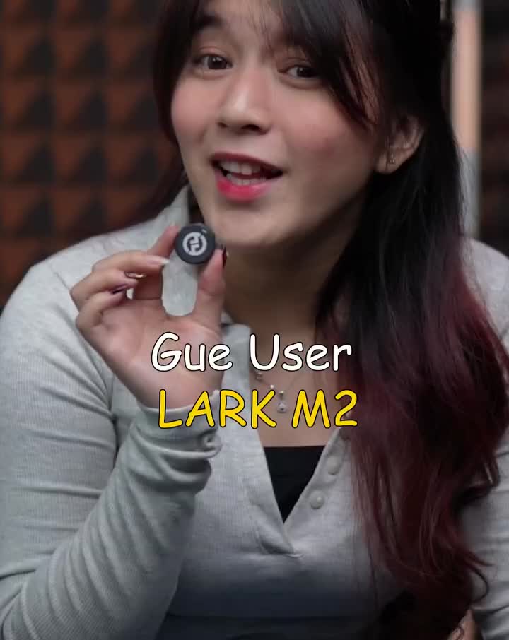 Hollyland Lark M2 Duo All-In-One Dual Wireless Lavalier Microphone Lark M-2 for Camera Android Iphone & Type C Device