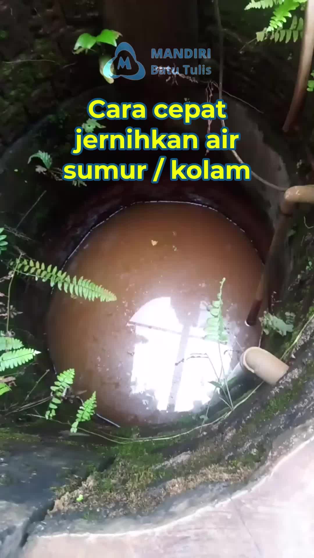 Tawas Bubuk Kristal KUDA BINTANG Penjernih Air Serbuk Batu Kecil 70 Gram