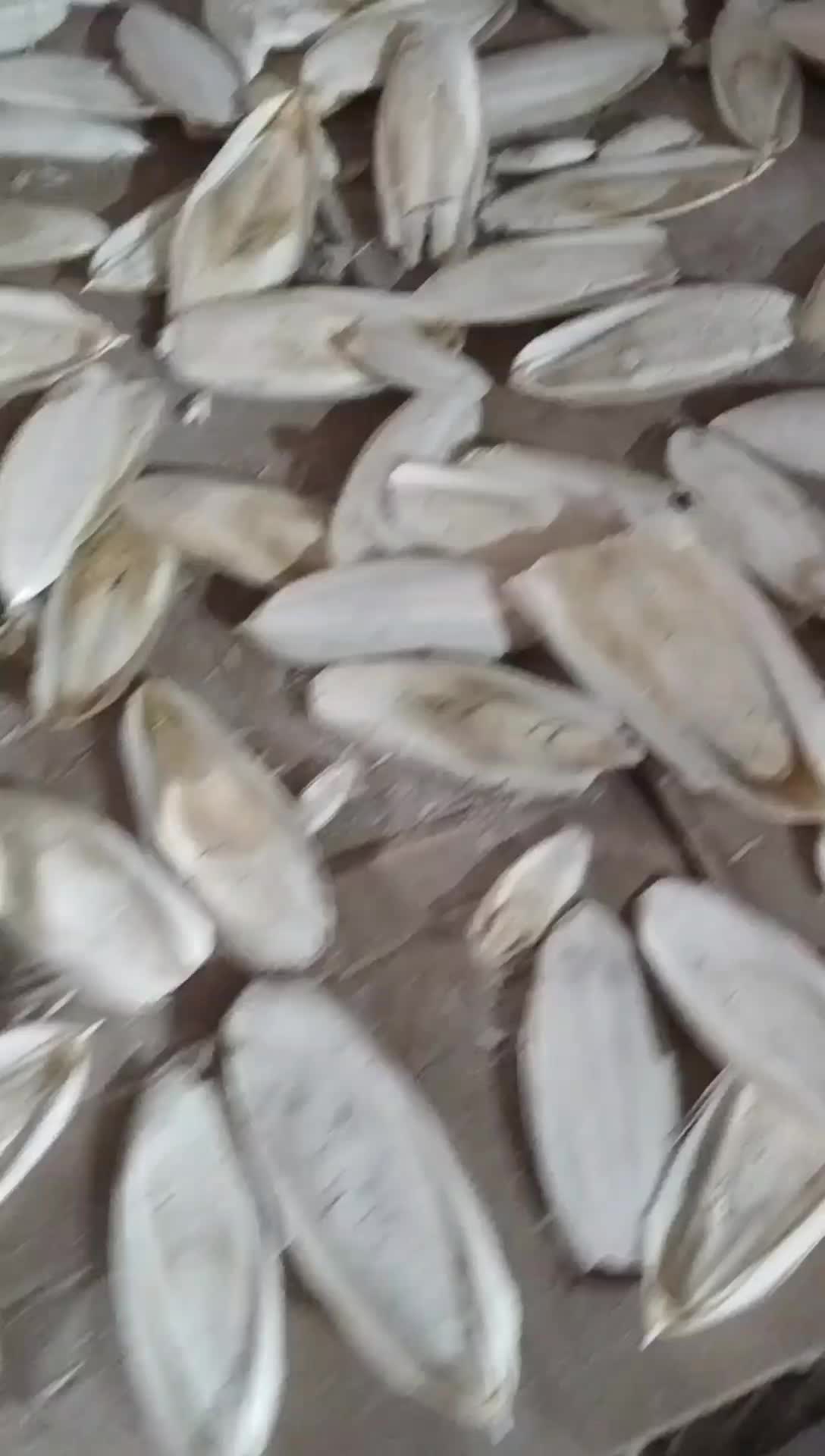 Tulang sotong 8-10cm bagus buat reptil kura kura gecko lovebird kenari