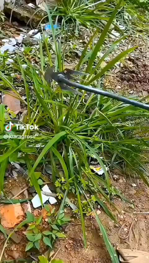 Alat Penjabut Rumput Liar Multifungsi - Garuk 4 Gigi 2 in 1 Bahan Full Besi