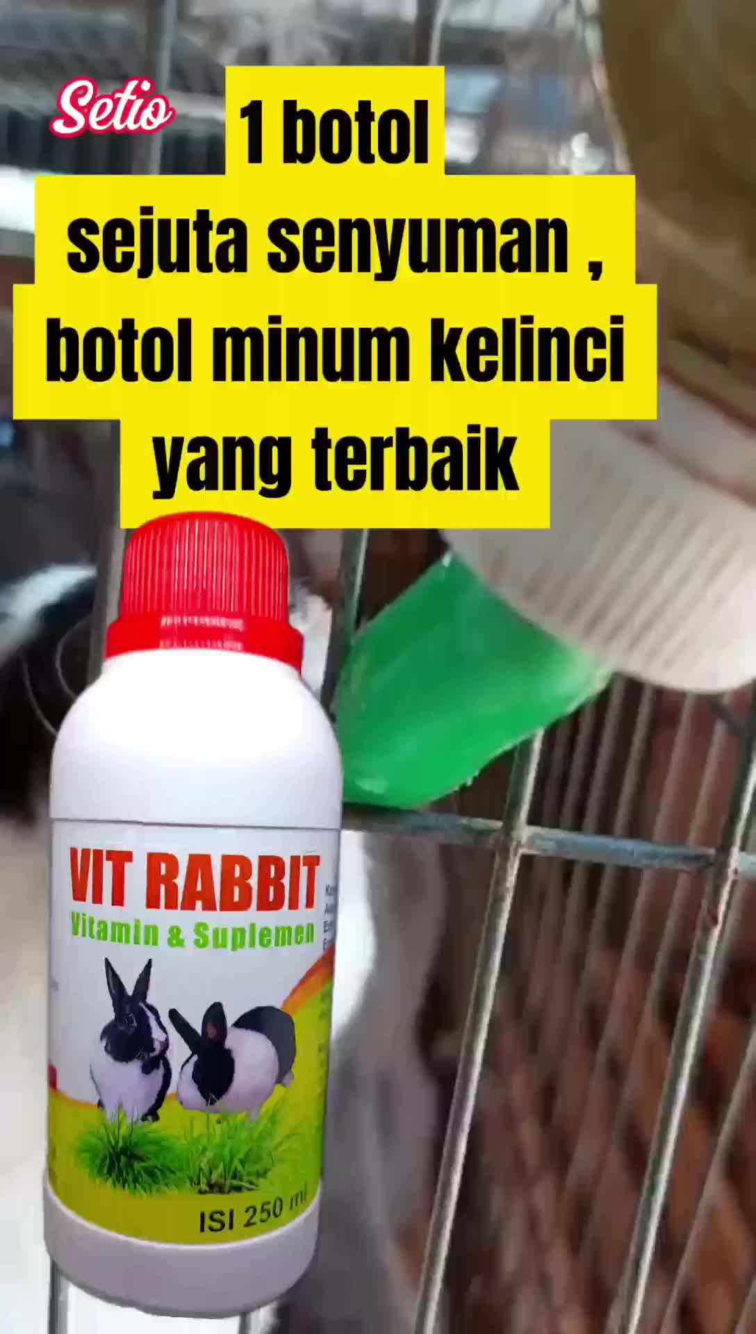 vitamin dan suplemen kelinci VIT RABBIT 250 ml untuk menambah nafsu makan kelinci dan menambah daya tahan tubuh kelinci kualitas top