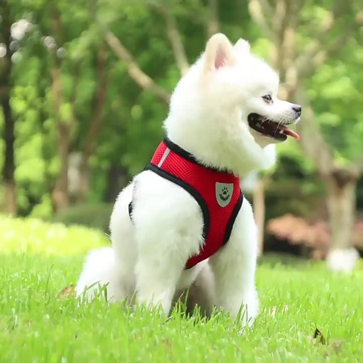 Rompi kucing+tali tuntun Harness Modis Mesh Lembut dengan Tali Pengikat Reflektif Harness aksesoris hewan peliharaan
