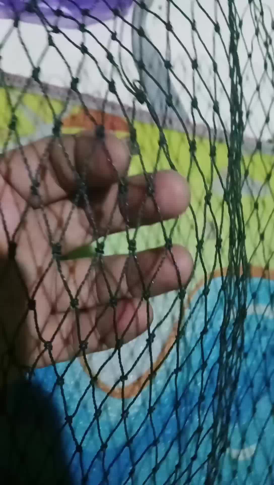 Jaring Lubang 1 jari Pagar Kandang Ternak Tanaman Awet Tahan Cuaca Bahan Nilon PE d6 Lubang 1,5 Inc Bonus Tali Atas Bawah ayam alat umbaran rumahan
