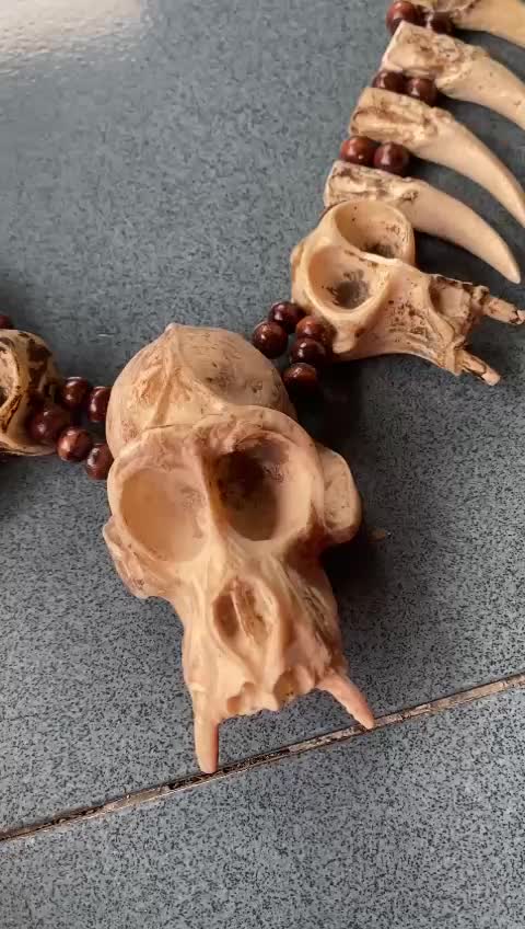 Kalung Tengkorak Etnik Taring Khas Dayak Hiasan Hadiah