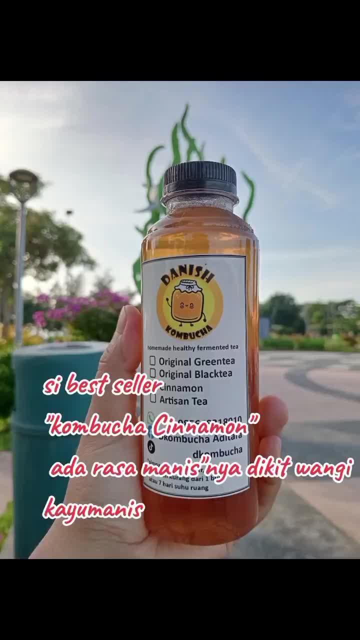Teh Kombucha Siap Minum 3 Botol*250ml (Paket 750ml) - DanishKombucha12 - Tea, Minuman