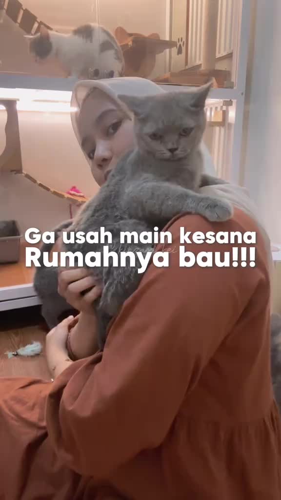 Remov Spray Penghilang Bau Kotoran Untuk Kucing Dan Anjing 250 ML